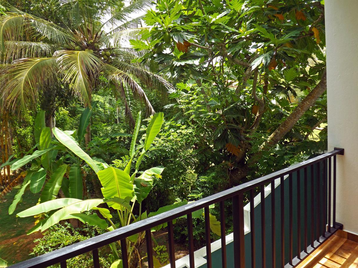 Hotel "Diana" Hikkaduwa Extérieur photo